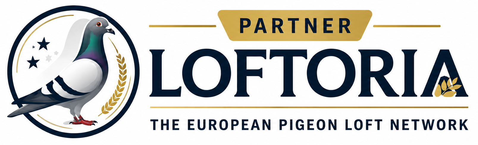 Loftoria Official Partner